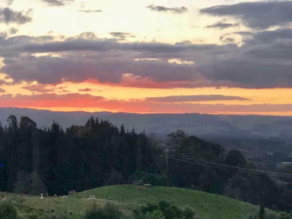 Arohanui Rural Retreat B&B Tauranga Eksteriør bilde