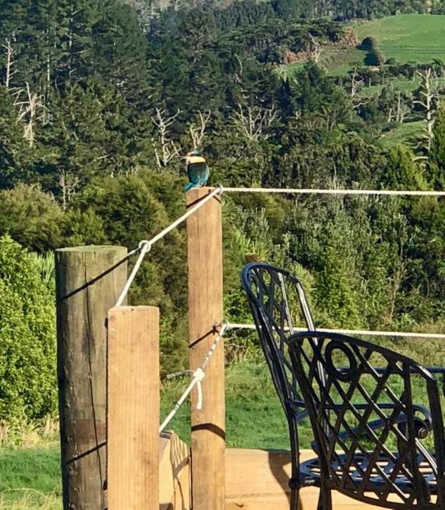 Arohanui Rural Retreat B&B Tauranga Eksteriør bilde