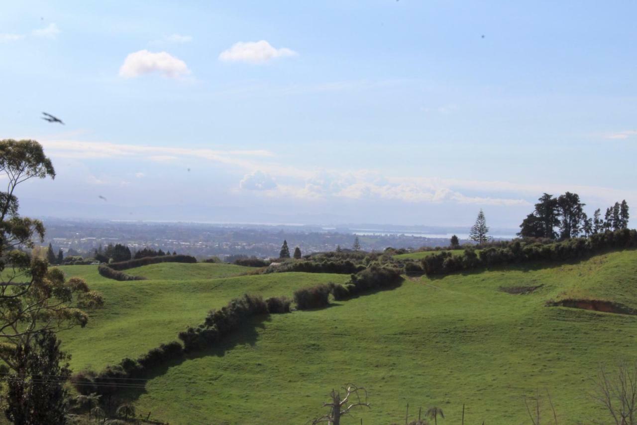 Arohanui Rural Retreat B&B Tauranga Eksteriør bilde
